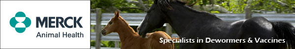 Merck Banner