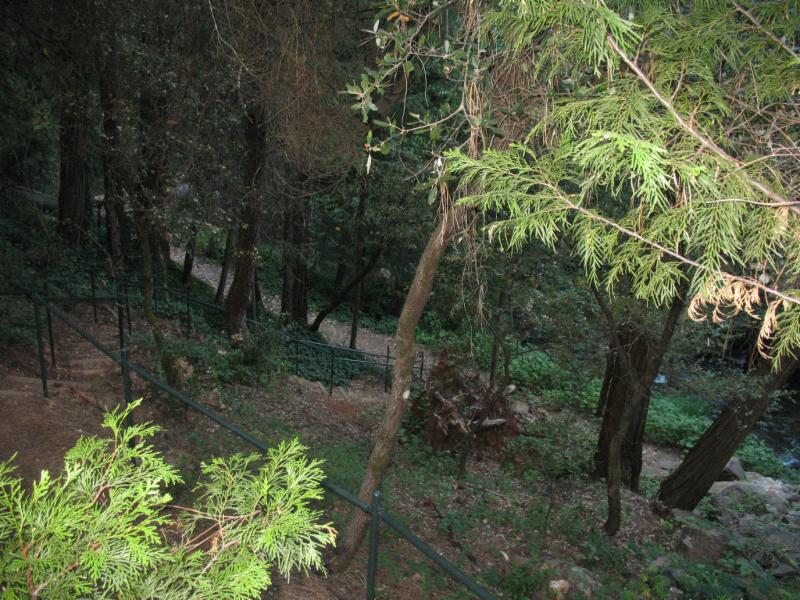 WCL - steps to Creek