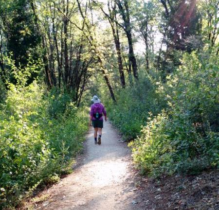 WCL - Empire Mine Trail