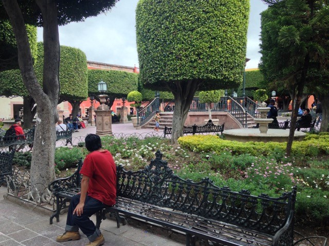 WCL - San Miguel de Allende