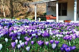 March Front Porch