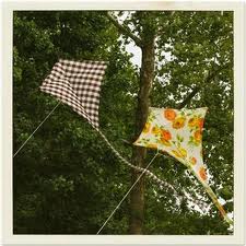 fabric kites