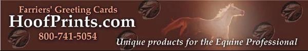 newsletter header wide
