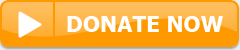 donate now bkgd ededed