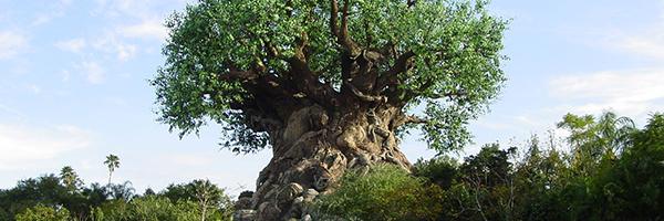Disney_s Tree of Life