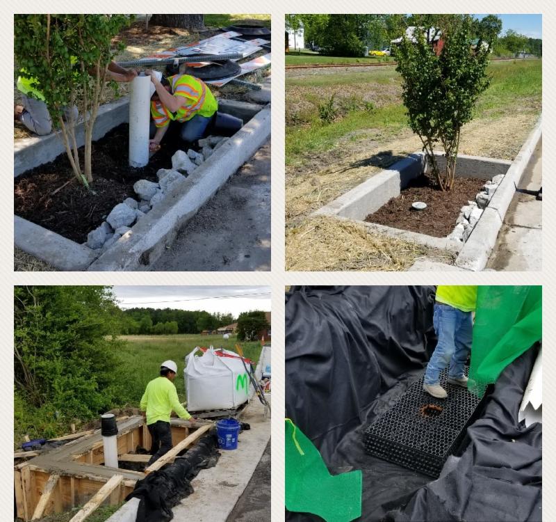 ACF Environmental May Newsletter!