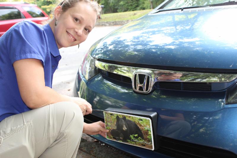 Bear License Plate