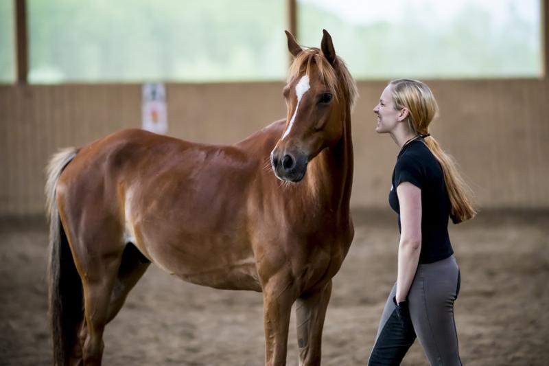 young woman angry about her horse  in joke 