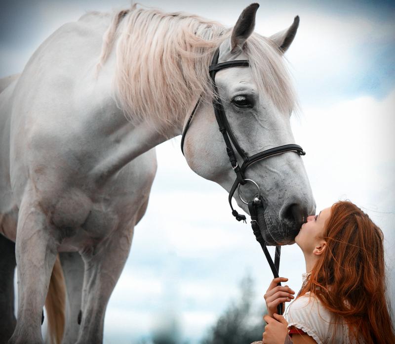 The red-haired girl with a  white horse