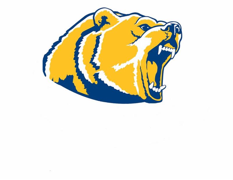 Bear logo