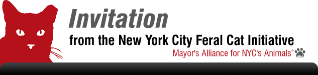 Invitation from the New York City Feral Cat Initiative