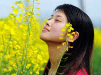 Asian Woman in Yellow Field 200 X 200