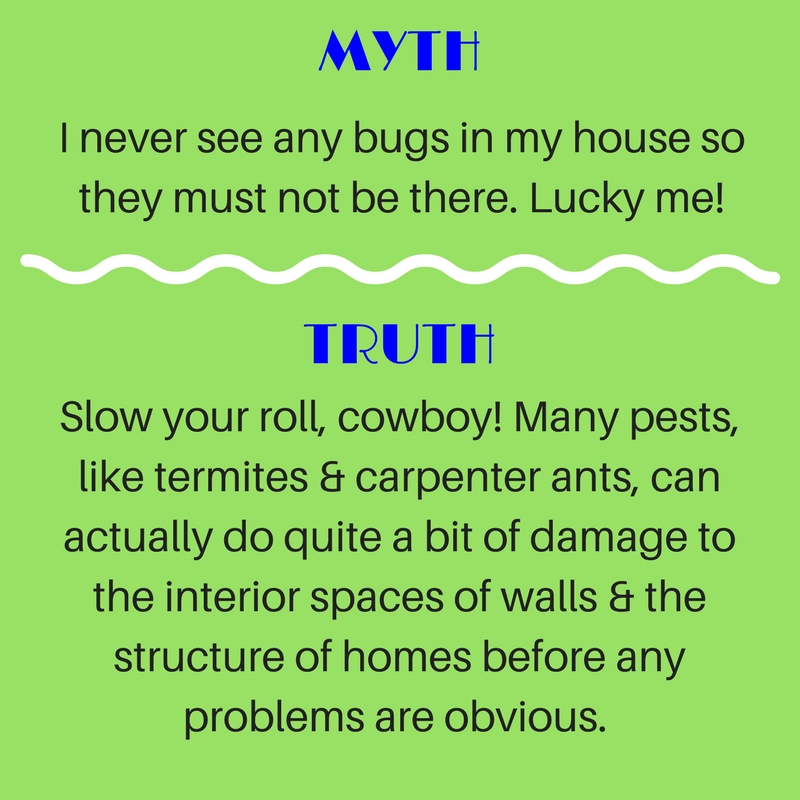 Lucky if I don_t see bugs_