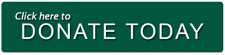 Donate to the WMS Annual Fund Today