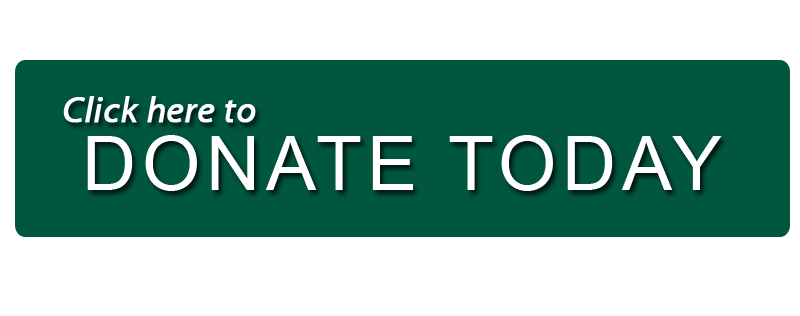 Donate to the WMS Annual Fund Today