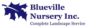 bluevillenursery.com