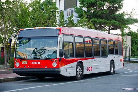 BUS_image