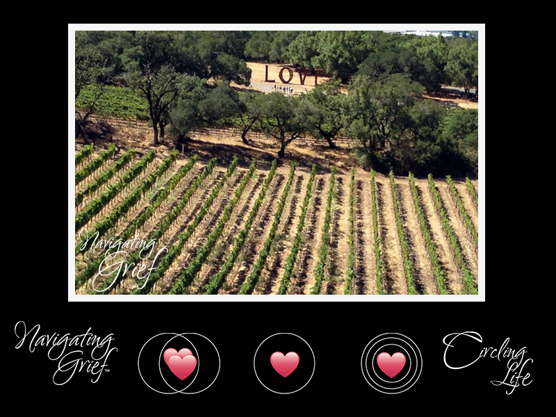 Paradise Ridge Vineyard Santa Rosa