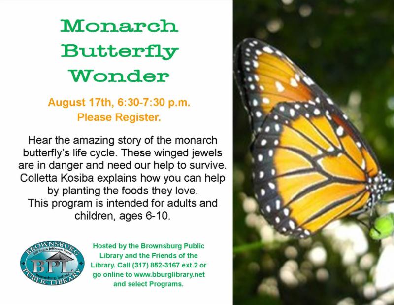 monarch butterfly wonder august 17 6_30 pm