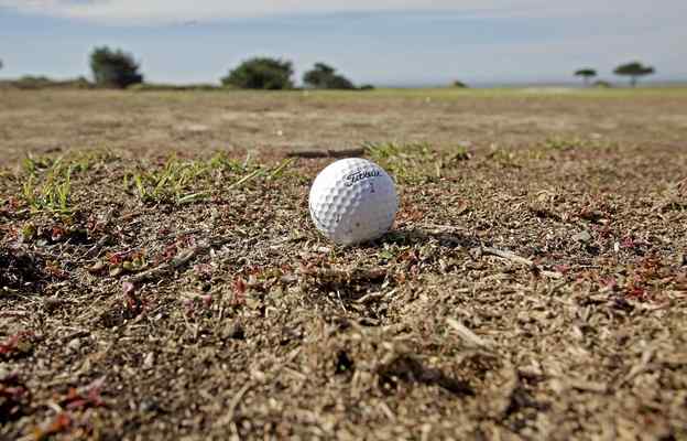 ProfaSorb _ Humawet provide solutions for dry soil