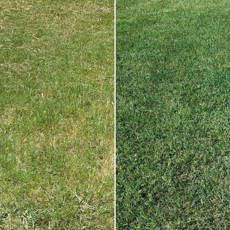 Endurant TE provides a boost of color in the spring