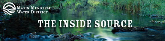 Inside Source Summer Banner