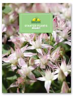 Emerald Coast Growers