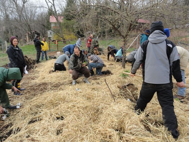 planting polyculture