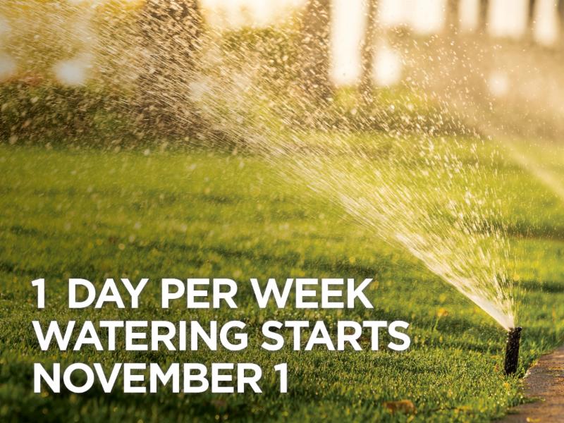 Keeping Sac WaterWise : Winter Watering Schedule and SMUD Instant Rebate