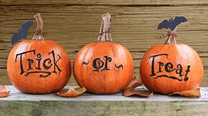 Trick or treat pumpkins.