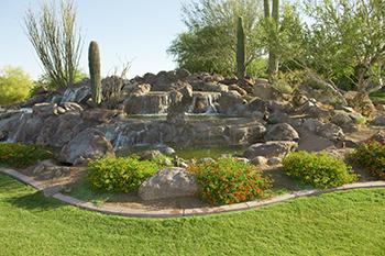 Photo of beautiful desert landscaping.