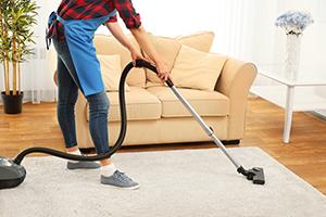 Photo of cleaning an area rug.