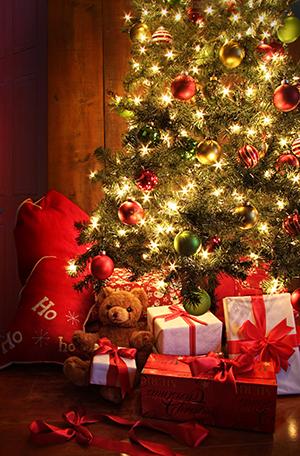 Gifts under the tree
