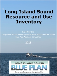 Cover Page of LIS Blue Plan Inventory