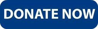Donate now button blue
