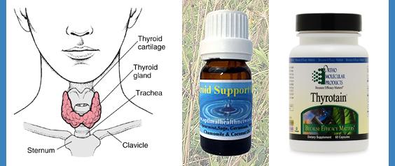 What Is Hypothyroidism