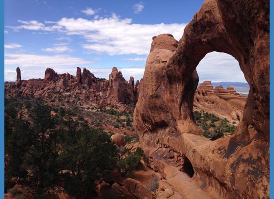 Natural Relief from Opioid Constipation