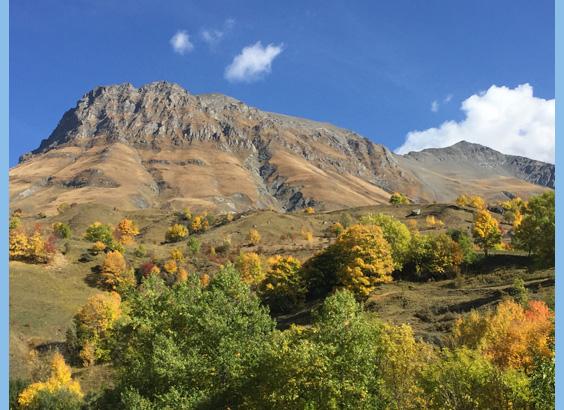 enemas during pregnancy