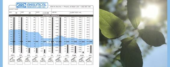 hair tissue mineral analysis