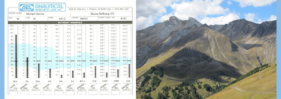 hair tissue mineral analysis