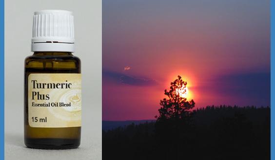 Turmeric Plus Essential Oil Blend