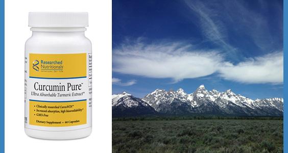 Curcumin Pure