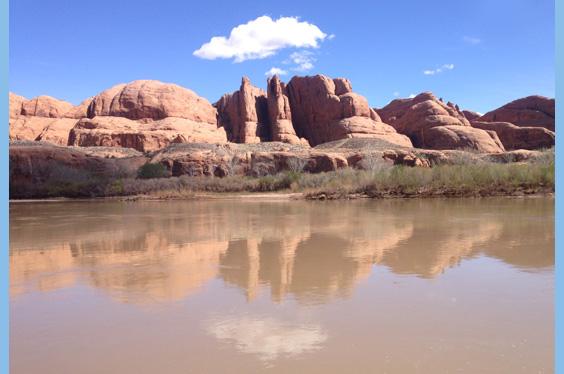 Optimal Health Network