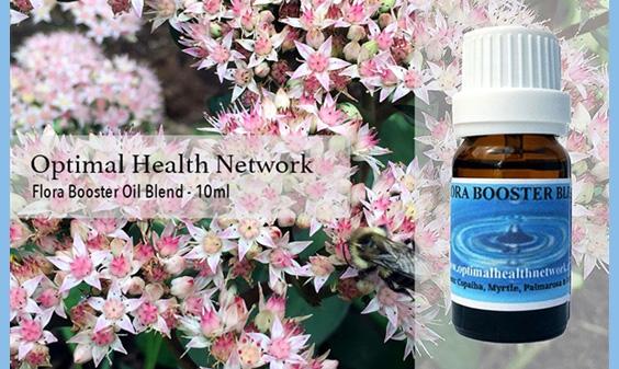 OHN Anti-Inflammatory and Flora Booster Oil Blend