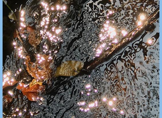 Irritable Bowel Syndrome IBS