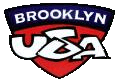 Brooklyn USA Basketball