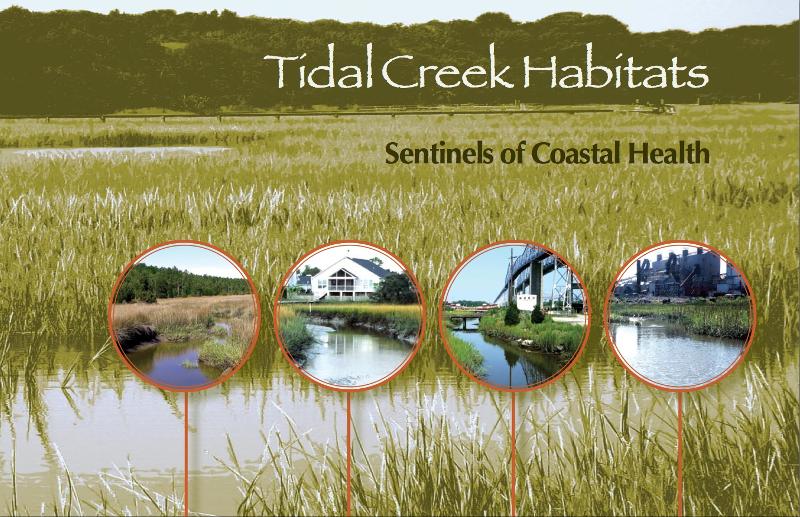 Tidal Creek Cover