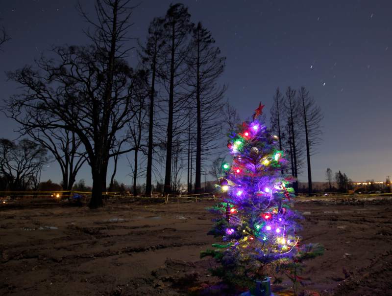Christmas tree glowing on burned land