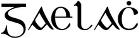 Irish Language