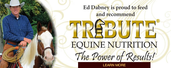 Tribute Equine Nutrition